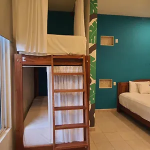 https://la-palmita.tulum-hotels.net